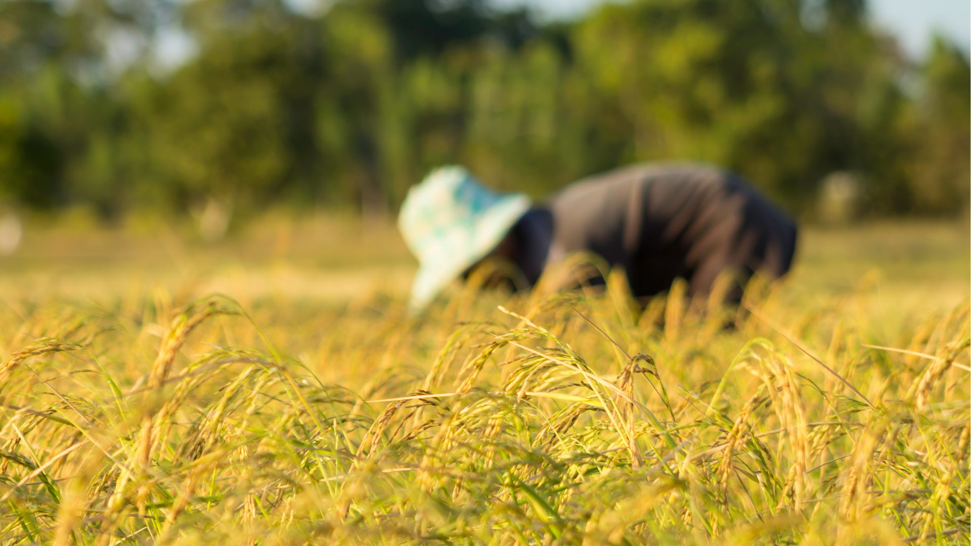 事業内容イメージ